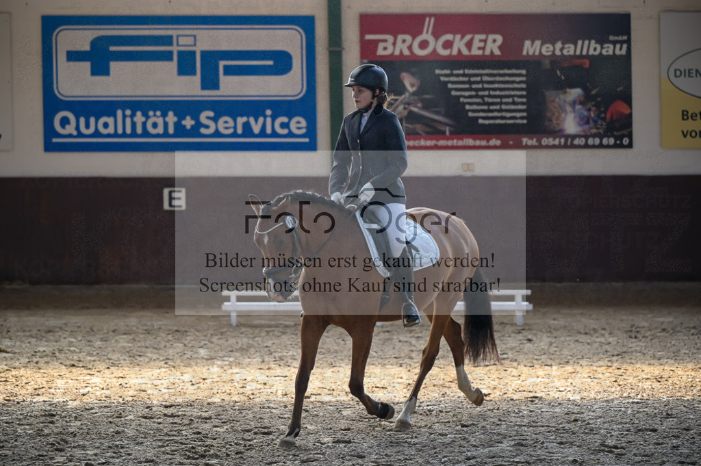 Reitturnier Voxtrup | Entdecke hochwertige Reitturnierfotos von Foto Oger. Professionell, emotional und authentisch – jetzt Lieblingsmomente im Shop bestellen.Deutschlandweite Turnierfotografie. - Realisiert mit Pictrs.com