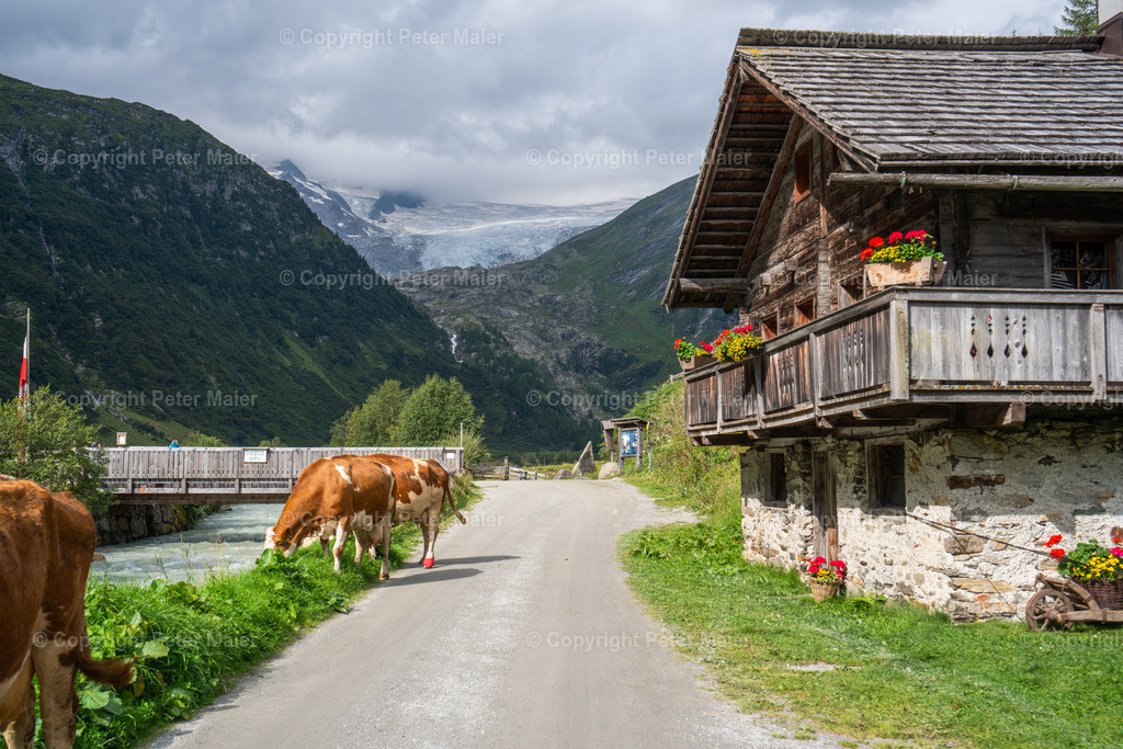 Gletscherweg_Innergschlöss_August_24-33 | piet_flosse