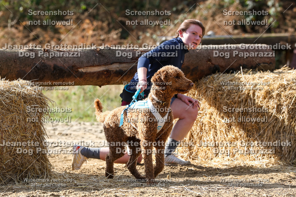 Dog Paparazzi - Strongdog 10-25-5763 | Dog Paparazzi Jeanette Grottendiek Fotografie & Videografie - Realisiert mit Pictrs.com