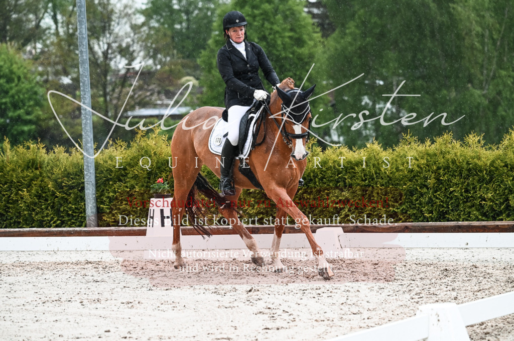 DSC_4469 | Pferde- und Turnierfotografie in Westsachsen. Pferdeportraits, Auftragszeichnungen und intuitive Kunst.