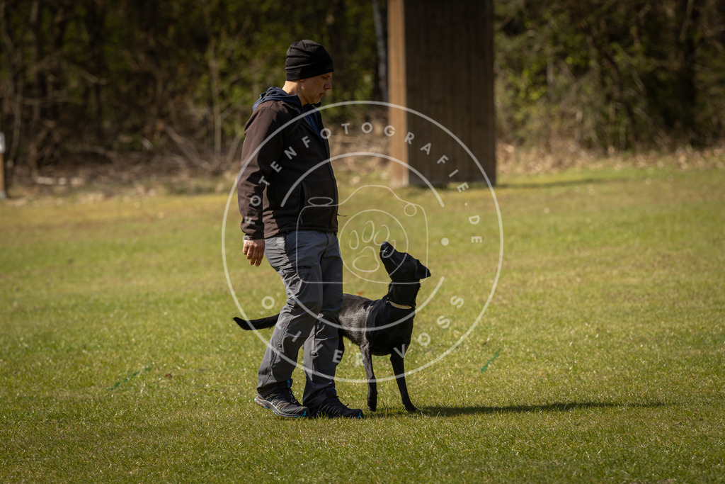 Pfotenfotografie_DV3A1264 | Hundefotografie, Tierfotograf, Pfotenfotografie, Fotoshooting Hund, Hunde Portrait, Hundesport, Hundeportraits, Heideshooting, Hunde, Sportfotograf, Hundefotograf, Turnierhundsport, THS,  - Realisiert mit Pictrs.com