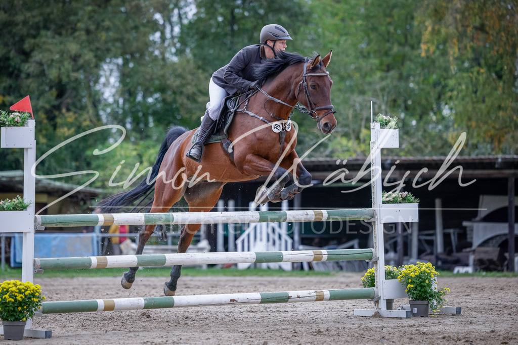 20251012-_3LI5239 | Tierfotografie Pferde, Hunde, Katzen, Haustiere.
Turnierfotografie Reitturniere, Reiten, Springreiten, Dressur in Hanau, dem Main-Kinzig-Kreis und dem Rhein-Main- Gebiet um Frankfurt