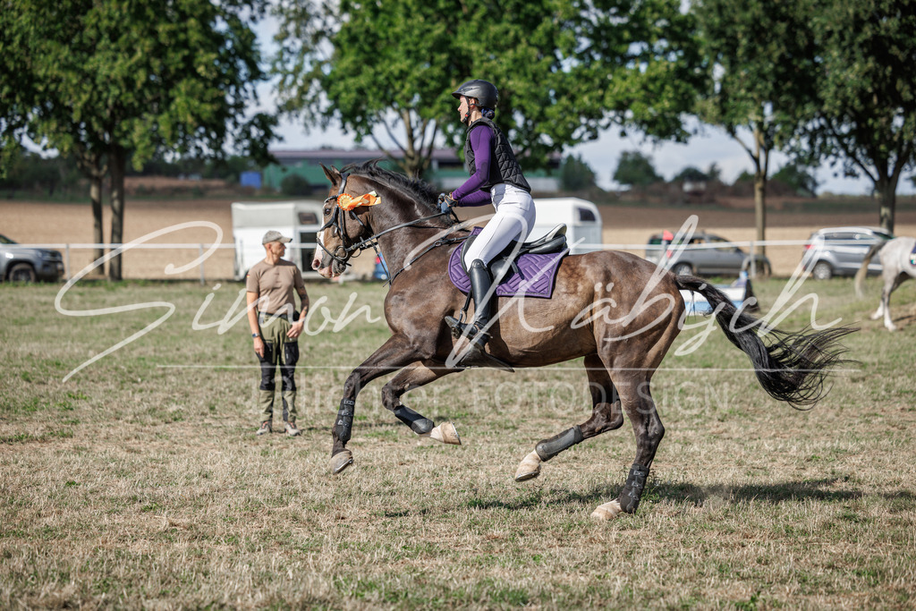 20260905-_3LI9981 | Tierfotografie Pferde, Hunde, Katzen, Haustiere.
Turnierfotografie Reitturniere, Reiten, Springreiten, Dressur in Hanau, dem Main-Kinzig-Kreis und dem Rhein-Main- Gebiet um Frankfurt