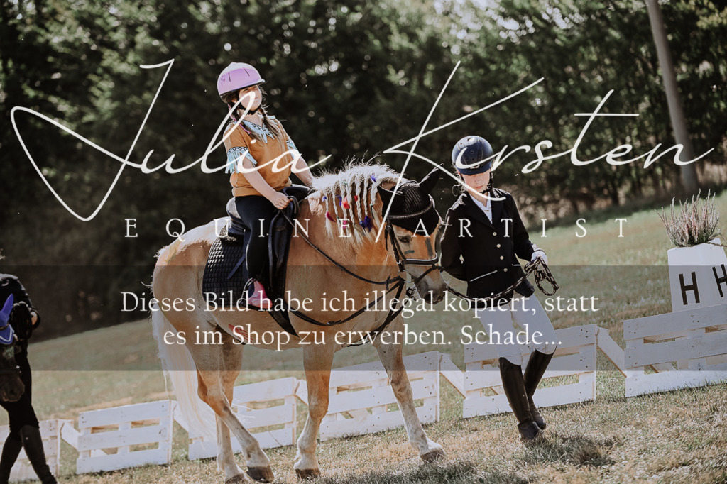 DSC_8818 | Pferde- und Turnierfotografie in Westsachsen. Pferdeportraits, Auftragszeichnungen und intuitive Kunst.