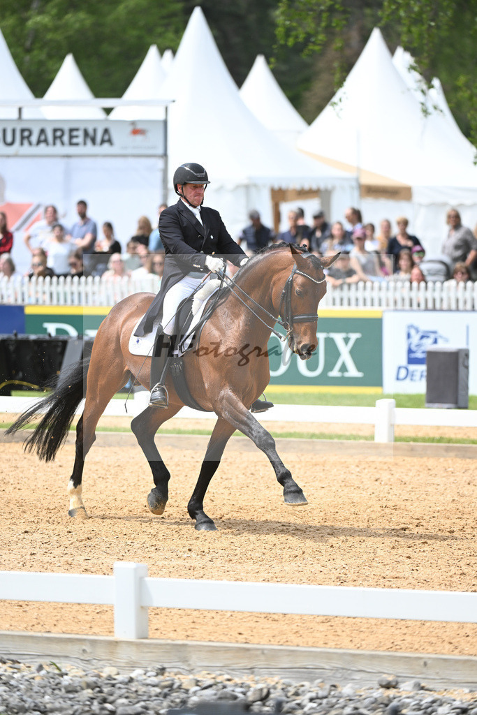 Eichhorn_Valentino_11233809 | hf-fotografie - Realisiert mit Pictrs.com