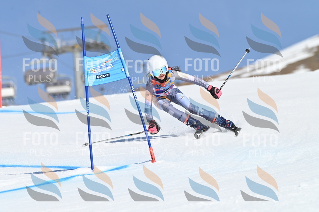 BGV_8153 | holidayphoto