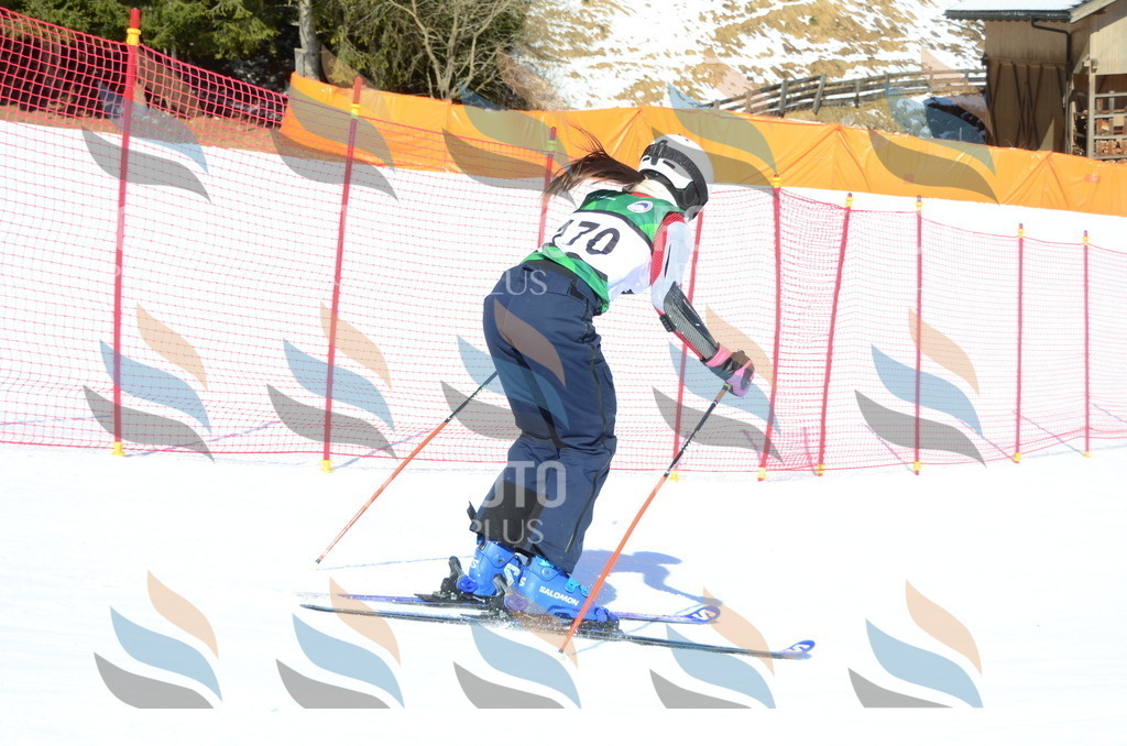 C6301 | holidayphoto