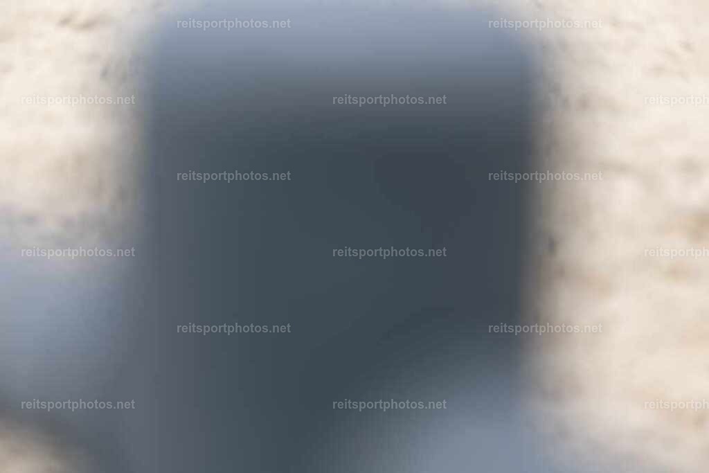 JoYaR3_Heidehof_01655 | JoYa Fotografie - Realisiert mit Pictrs.com