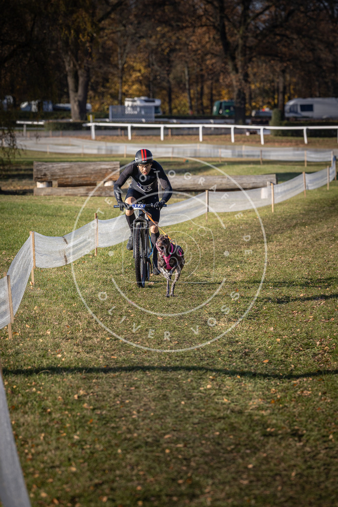 CaniXpix_DV3A2299 | Hundefotografie, Tierfotograf, Pfotenfotografie, Fotoshooting Hund, Hunde Portrait, Hundesport, Hundeportraits, Heideshooting, Hunde, Sportfotograf, Hundefotograf, Turnierhundsport, THS,  - Realisiert mit Pictrs.com