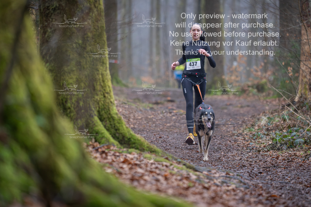 Canix_So-30 | stephaniefillaphotographie - Realisiert mit Pictrs.com