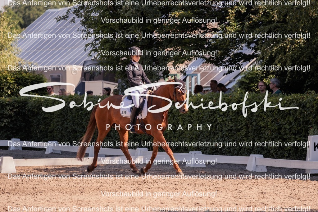 2025_05_31_DSCF2973 | People- und Tierfotografie, Imageaufnahmen, Veranstaltungsfotografie und Wandbilder aus der Natur ★ Made in Germany ✔️ Druck + Downloads ✔️ Naturfotografie in Top Qualität ★ schneller Versand, weltweite Lieferung! - Realisiert mit Pictrs.com