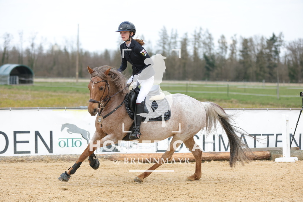 0P6A8557 | Willkommen bei Brunnmayr - Design & Fotografie – Ihrem Spezialisten für Reitturniere und Pferdeveranstaltungen in Oberösterreich, Salzburg und Bayern! Seit über 17 Jahren sind wir leidenschaftlich dabei.