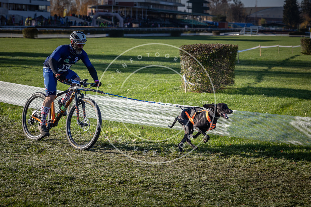 CaniXpix_0L8A4244 | Hundefotografie, Tierfotograf, Pfotenfotografie, Fotoshooting Hund, Hunde Portrait, Hundesport, Hundeportraits, Heideshooting, Hunde, Sportfotograf, Hundefotograf, Turnierhundsport, THS,  - Realisiert mit Pictrs.com