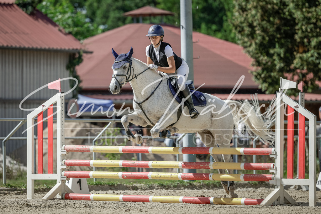 20250906-_3LI6413 | Tierfotografie Pferde, Hunde, Katzen, Haustiere.
Turnierfotografie Reitturniere, Reiten, Springreiten, Dressur in Hanau, dem Main-Kinzig-Kreis und dem Rhein-Main- Gebiet um Frankfurt