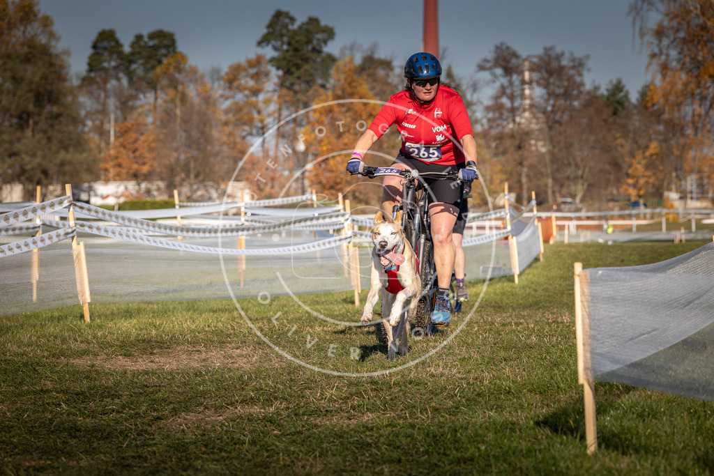 CaniXpix_0L8A5063 | Hundefotografie, Tierfotograf, Pfotenfotografie, Fotoshooting Hund, Hunde Portrait, Hundesport, Hundeportraits, Heideshooting, Hunde, Sportfotograf, Hundefotograf, Turnierhundsport, THS,  - Realisiert mit Pictrs.com