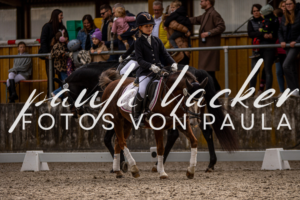 IMG_3788 | Erleben Sie dynamische Sport- und emotionale Tierfotografie in Süddeutschland mit Fotos von Paula. Spezialisiert auf Pferde- und Hundefotografie sowie Sportevents. Kontaktieren Sie mich für einzigartige und ausdrucksstarke Bilder Ihrer besonderen Momente.