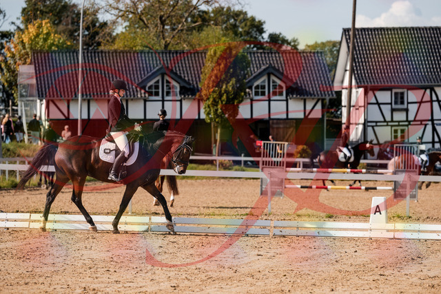 2026_10_03_Siefer-Hof_125532_Z63_61908390 | Professionelle Reitsport-, Turnier- und Eventfotografie von Robert Broda. Galerien mit ausgewählten und bearbeiteten Bildern direkt online ansehen und bestellen.