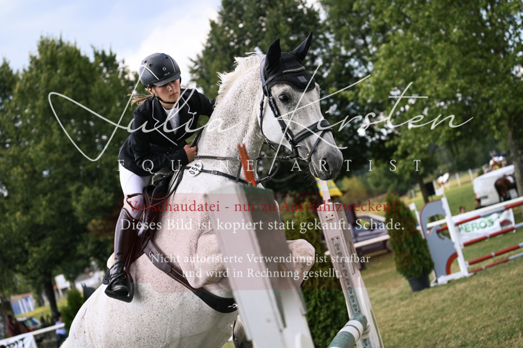 DSC_0985 | Pferde- und Turnierfotografie in Westsachsen. Pferdeportraits, Auftragszeichnungen und intuitive Kunst.