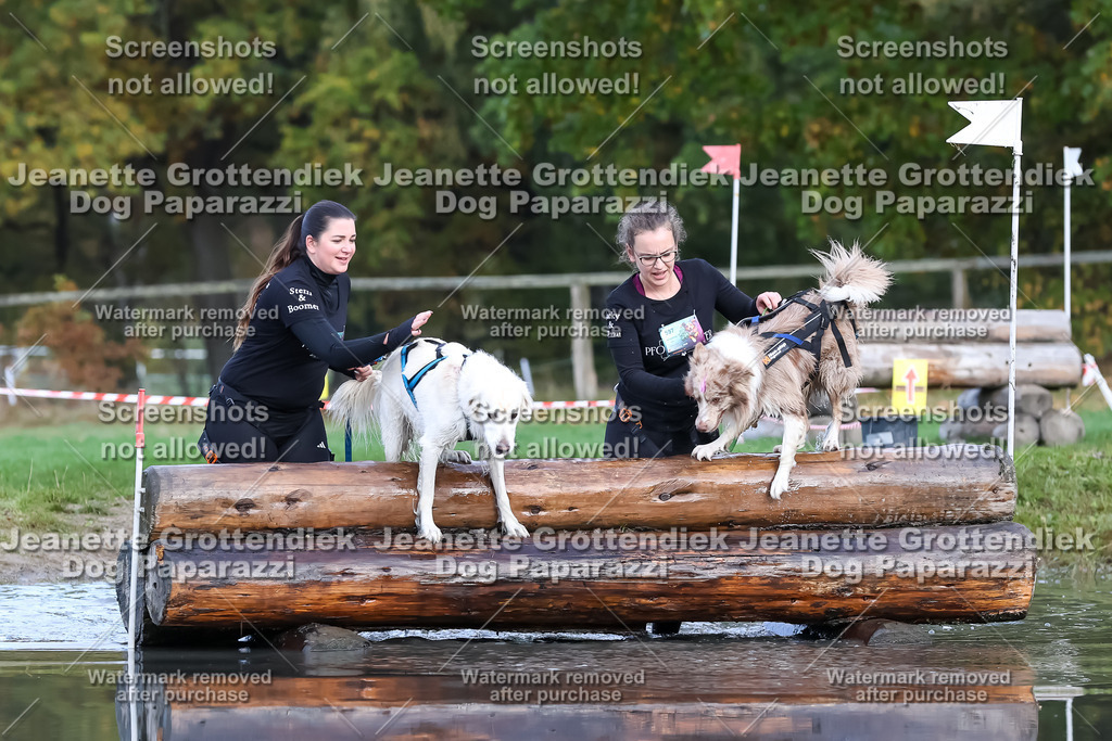 Dog Paparazzi - Strongdog 10-25-6898 | Dog Paparazzi Jeanette Grottendiek Fotografie & Videografie - Realisiert mit Pictrs.com