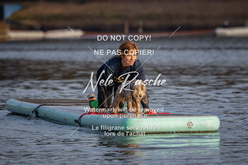 nelerasche_Hulsbeek_Sa1700-1730_27 | nelerasche