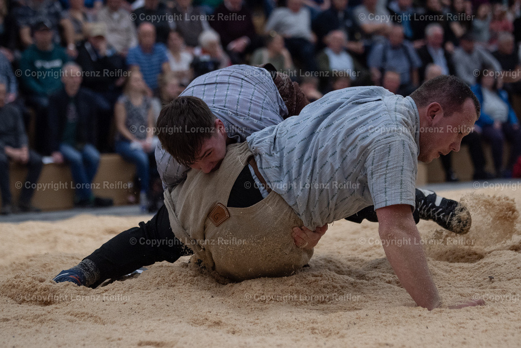 Schwingen -  Lichtmess 2024 | Gais, 3.2.24, Schwingen - Lichtmess.