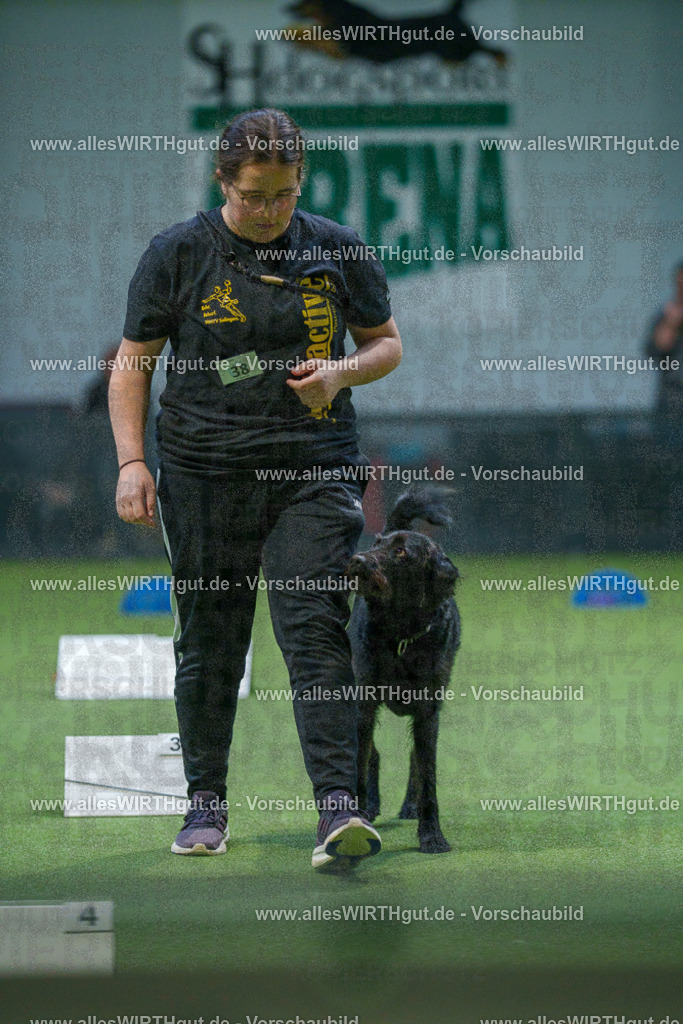 7R501147 | Professionelle Tierfotografie in Mönchengladbach von Daniel Wirth (allesWIRTHgut). Liebevolle & natürliche Bilder von Hunden & Katzen für unvergessliche Erinnerungen.