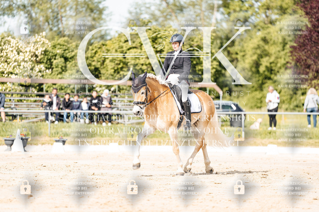 CK900132 | Turnierfotografie Pferdefotografie Trier Rheinland-Pfalz Pferdesport Reitsport Tierfotografie Sportfotografie Pferdevideo Pferdevideografie Equestrianvideography equestrianphotography  - Realisiert mit Pictrs.com