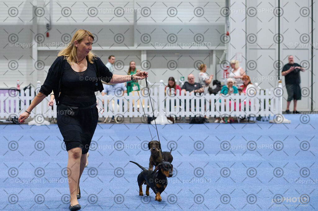 202406_ÖKV-IHA-Tulln24_DSC_3016 | proPHOTO - Realisiert mit Pictrs.com