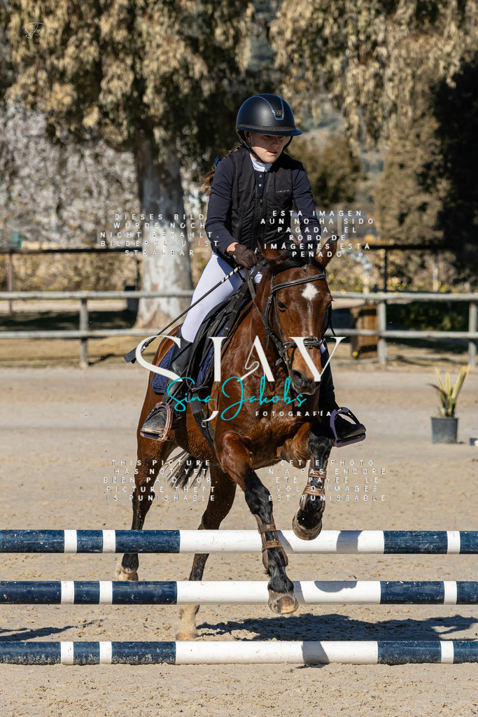 IMG_8685 | s-jay-photography - Realisiert mit Pictrs.com