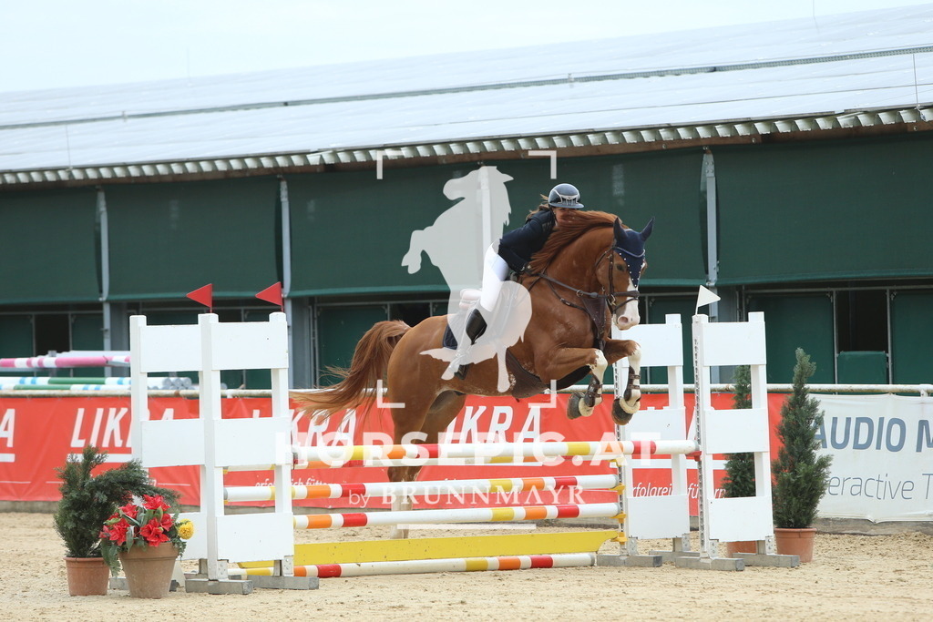 DL2Q4364 | Willkommen bei Brunnmayr - Design & Fotografie – Ihrem Spezialisten für Reitturniere und Pferdeveranstaltungen in Oberösterreich, Salzburg und Bayern! Seit über 17 Jahren sind wir leidenschaftlich dabei.