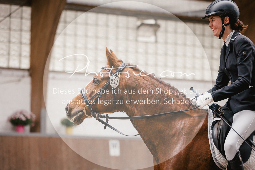 3I6A6714 | Stimmungsvolle Portraits und Reitsportfotografie im Ruhrgebiet und im Münsterland.

Pferdefotografie, Hundefotografie, Tierfotografie, Reportagen, Portraits von Tier und Mensch, Turnierfotografie in Bochum, Recklinghausen, Marl, Haltern am See, Dülmen.. - Realisiert mit Pictrs.com