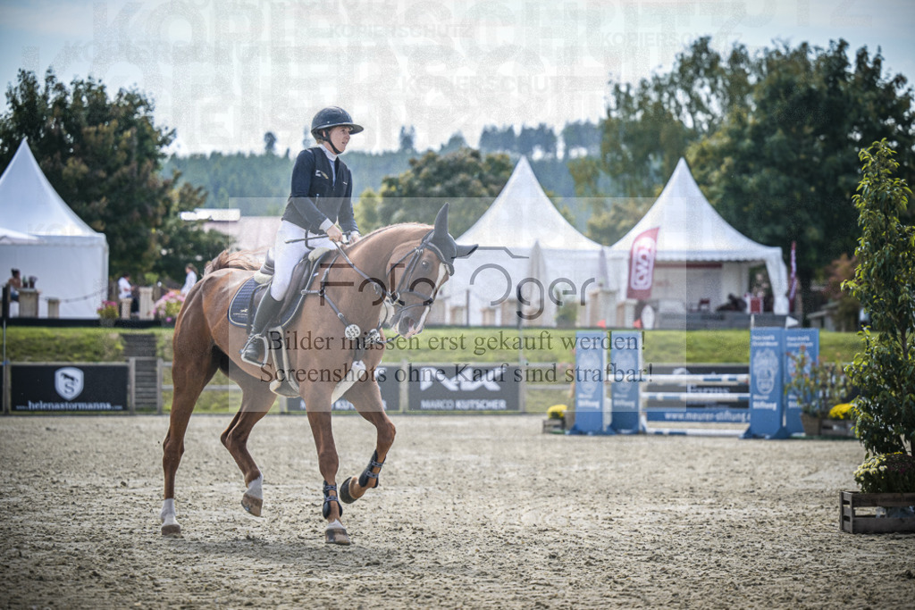 DOS_8218 | Entdecke hochwertige Reitturnierfotos von Foto Oger. Professionell, emotional und authentisch – jetzt Lieblingsmomente im Shop bestellen.Deutschlandweite Turnierfotografie. - Realisiert mit Pictrs.com