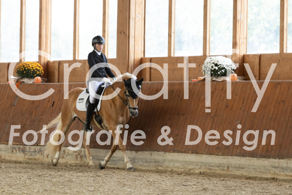 IMG_5872 | Creatify Fotografie