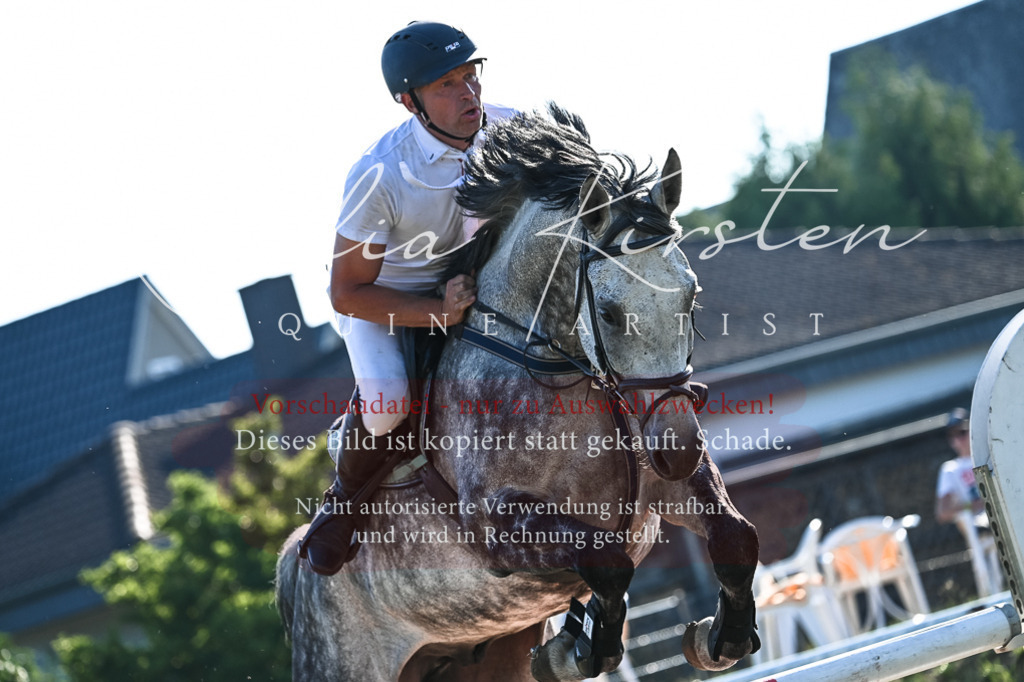 DSC_2647 | Pferde- und Turnierfotografie in Westsachsen. Pferdeportraits, Auftragszeichnungen und intuitive Kunst.