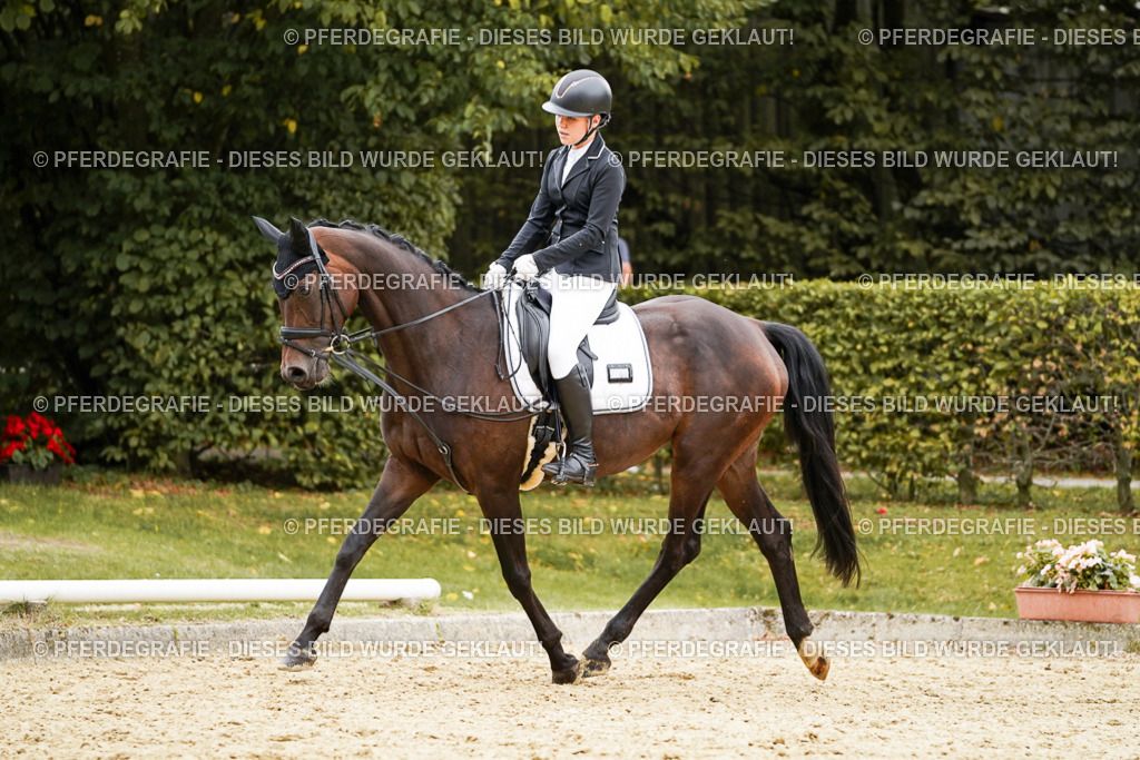 DSC00107 | Pferdegrafie