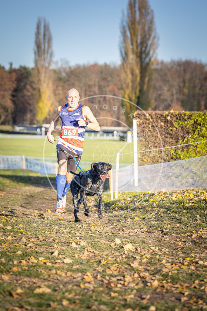 CaniXpix_DV3A4140 | Hundefotografie, Tierfotograf, Pfotenfotografie, Fotoshooting Hund, Hunde Portrait, Hundesport, Hundeportraits, Heideshooting, Hunde, Sportfotograf, Hundefotograf, Turnierhundsport, THS,  - Realisiert mit Pictrs.com
