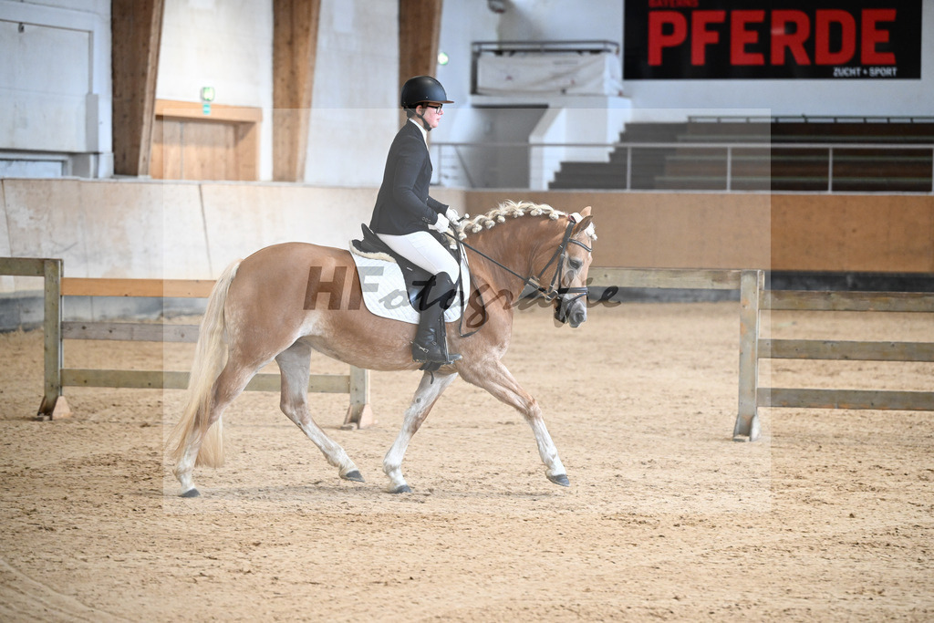 Kat-Nr. 11 Onatah v. Schampus_Demmler_50250068 | hf-fotografie - Realisiert mit Pictrs.com