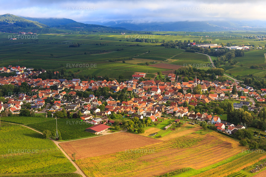 Luftbild: Dorfansicht aus Südwesten in Göcklingen im Bundesland Rheinland-Pfalz in Deutschland. Foto: IMG_103305.jpg vom 10.09.2017 durch Werner Riehm/FLY-FOTO.de