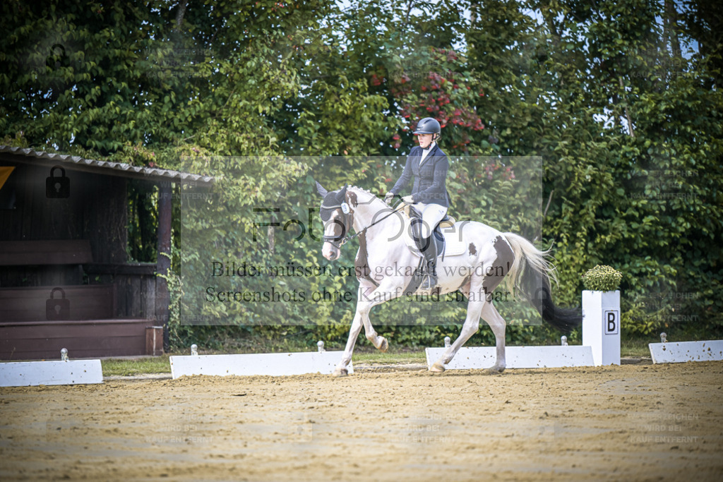 DOS_5088 | Entdecke hochwertige Reitturnierfotos von Foto Oger. Professionell, emotional und authentisch – jetzt Lieblingsmomente im Shop bestellen. - Realisiert mit Pictrs.com