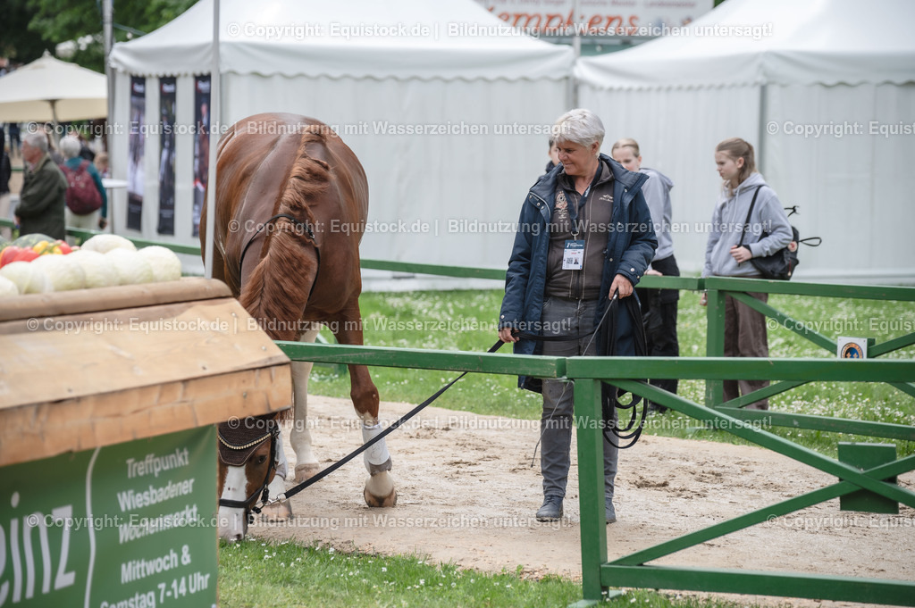 TS_20240518_Impressionen_0073 | Foto: Thomas Hartig