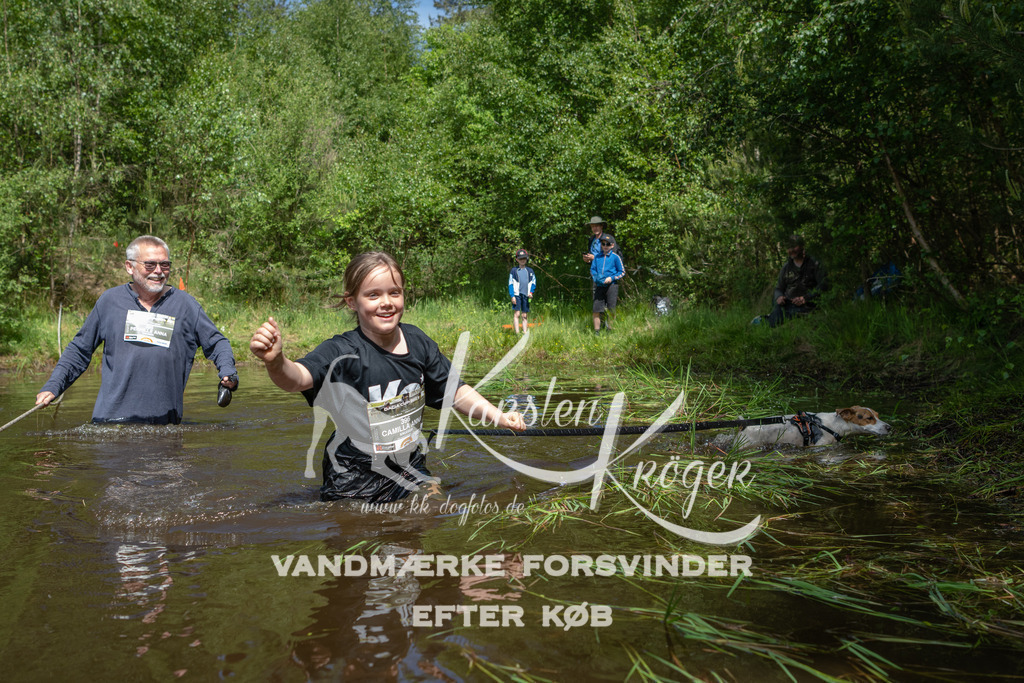 1133DKK990561 | kk-dogfotos
