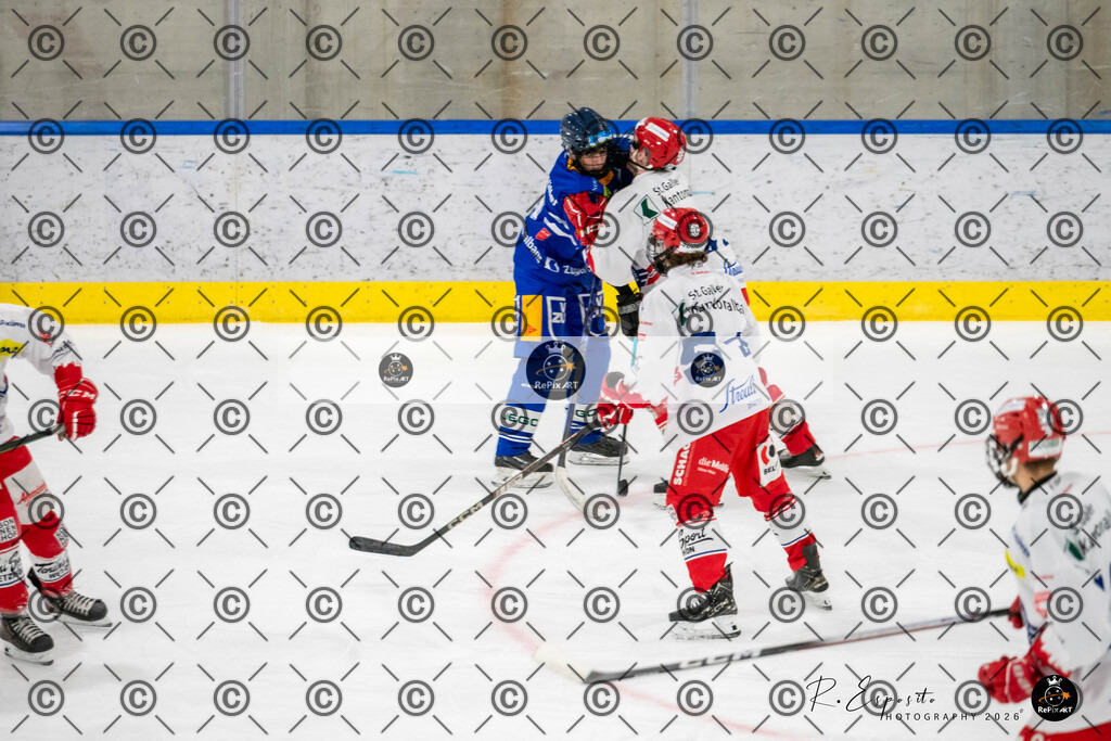 20260102_EVZ-U18_036-321 | Sport und Naturfotografie von Roberto Esposito zeigt echte Momente Bewegung und die Schönheit der Natur. Ausdrucksstarke Bilder schaffen Emotionen.