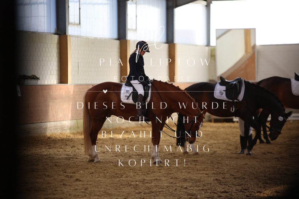 IMGT0784 | pl-fotografie