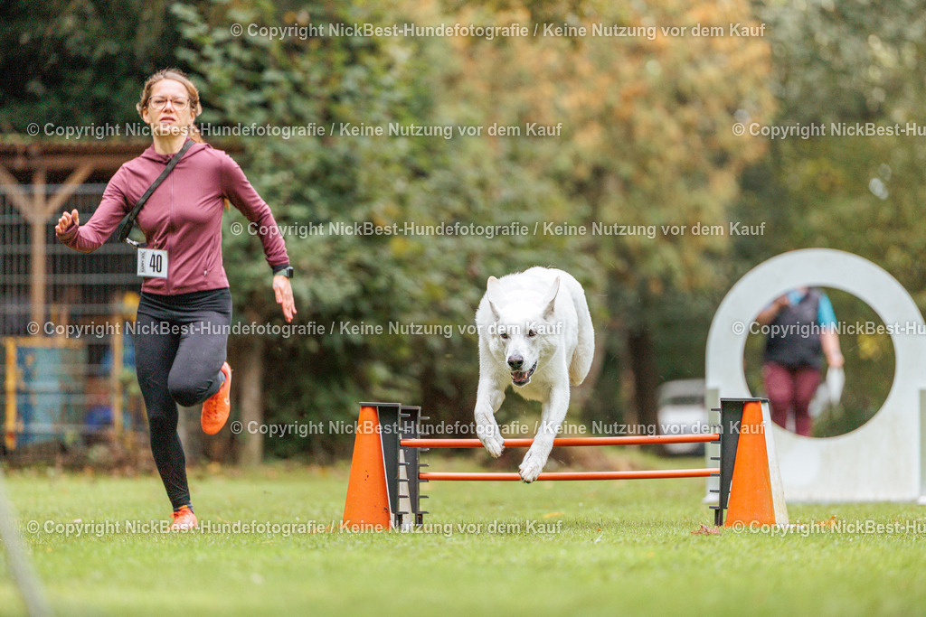 THS-HSV-Blumenthal-2026-Nickbest-Hundefotografie-1803 | Dein Hund! Dein Moment! Deine Erinnerungen! Hundefotografie in Bremen Blumenthal. Ich fange die besonderen Momente deines Vierbeiners ein – ob Indoor mit Blitzanlage oder in der freien Natur. Sicher dir dein Moment und dein Termin für eure Erinnerungen.