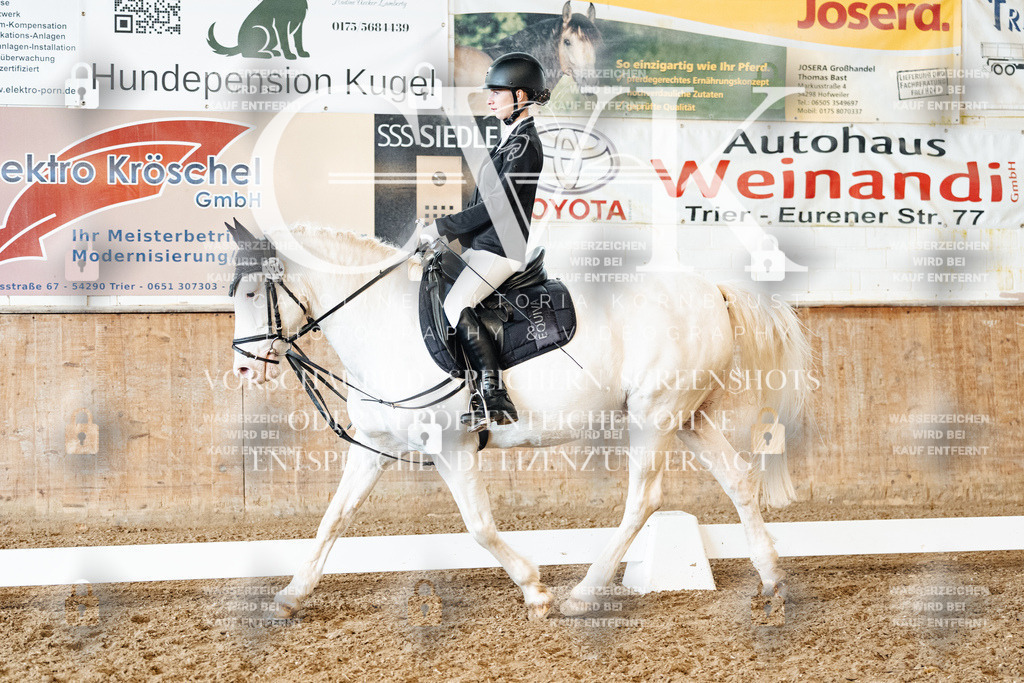 CK900256 | Turnierfotografie Pferdefotografie Trier Rheinland-Pfalz Pferdesport Reitsport Tierfotografie Sportfotografie Pferdevideo Pferdevideografie Equestrianvideography equestrianphotography  - Realisiert mit Pictrs.com