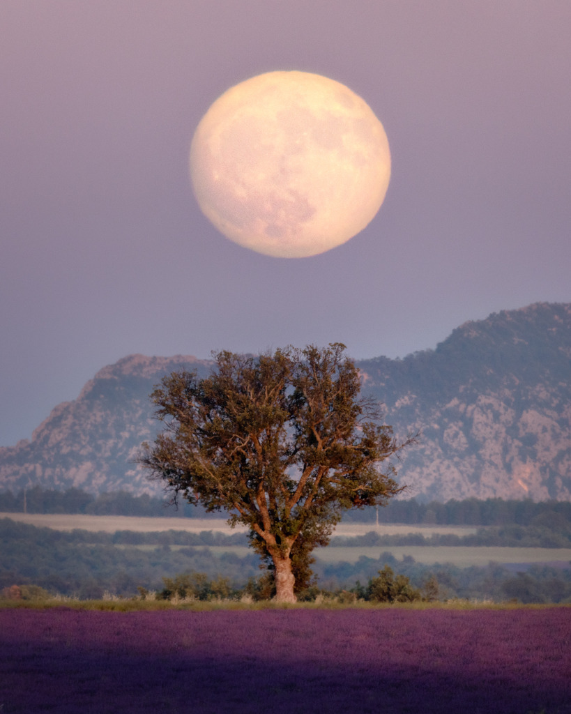 Full moon | tobiasneyer - Realisiert mit Pictrs.com