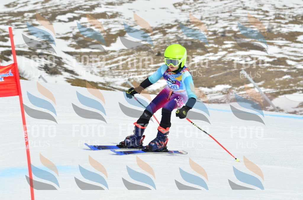 _ELE2836 | holidayphoto