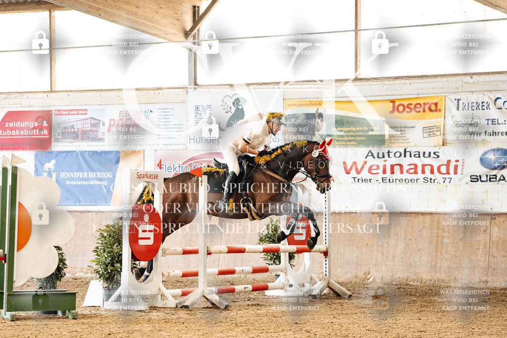 CK905491 | Turnierfotografie Pferdefotografie Trier Rheinland-Pfalz Pferdesport Reitsport Tierfotografie Sportfotografie Pferdevideo Pferdevideografie Equestrianvideography equestrianphotography  - Realized with Pictrs.com