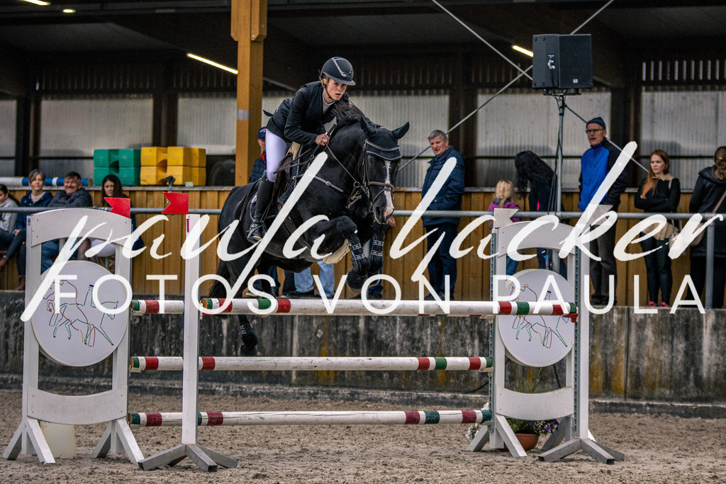 IMG_6041 | Erleben Sie dynamische Sport- und emotionale Tierfotografie in Süddeutschland mit Fotos von Paula. Spezialisiert auf Pferde- und Hundefotografie sowie Sportevents. Kontaktieren Sie mich für einzigartige und ausdrucksstarke Bilder Ihrer besonderen Momente.