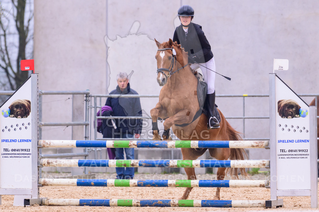 10042026-Mammendorf-Prfg15-0232 | Fokus Hufschlag Fotografie - Realisiert mit Pictrs.com